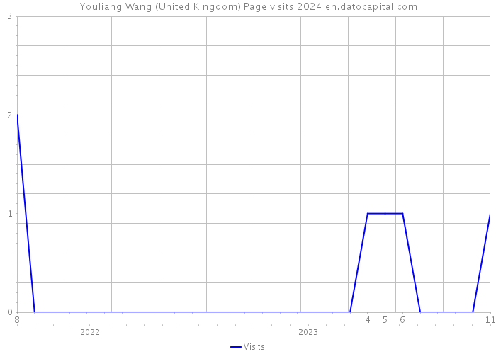 Youliang Wang (United Kingdom) Page visits 2024 