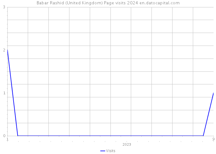 Babar Rashid (United Kingdom) Page visits 2024 