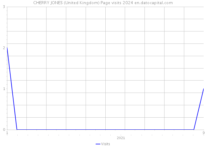 CHERRY JONES (United Kingdom) Page visits 2024 