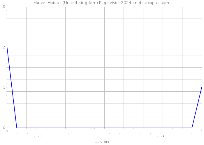 Marcel Haiduc (United Kingdom) Page visits 2024 