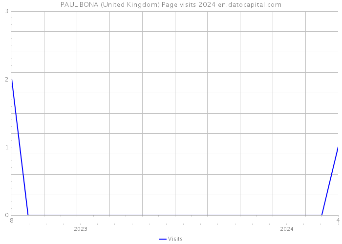 PAUL BONA (United Kingdom) Page visits 2024 