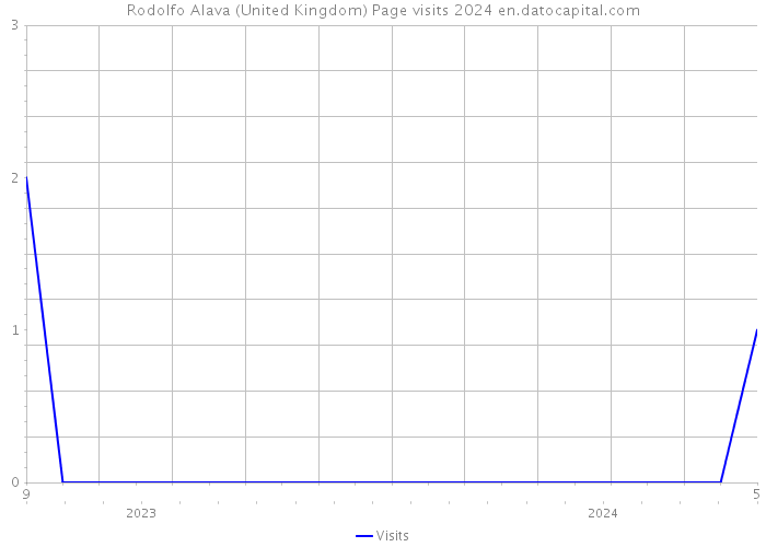 Rodolfo Alava (United Kingdom) Page visits 2024 