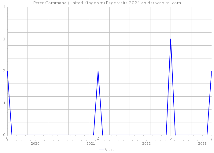 Peter Commane (United Kingdom) Page visits 2024 
