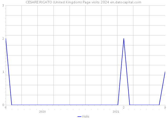 CESARE RIGATO (United Kingdom) Page visits 2024 