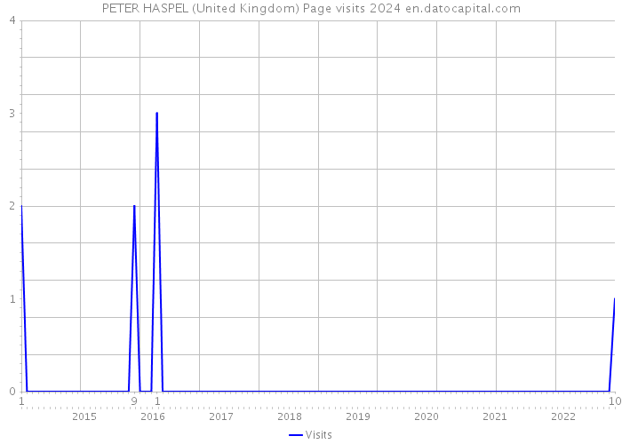 PETER HASPEL (United Kingdom) Page visits 2024 