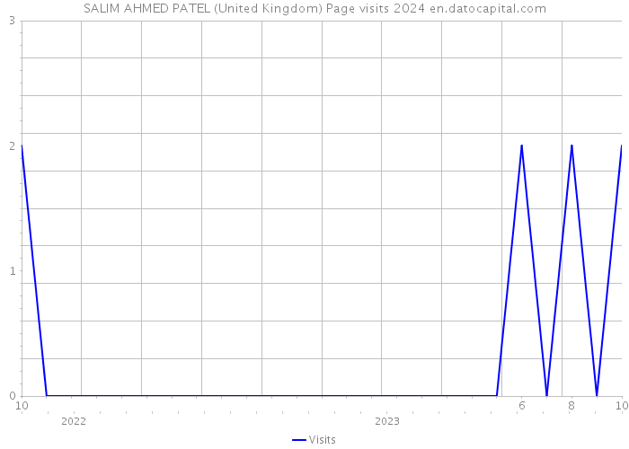 SALIM AHMED PATEL (United Kingdom) Page visits 2024 