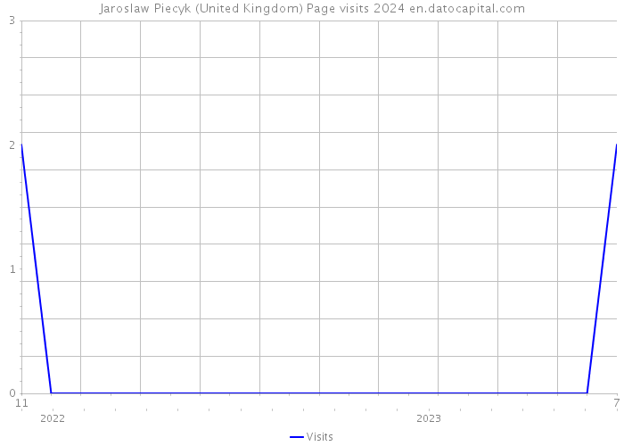 Jaroslaw Piecyk (United Kingdom) Page visits 2024 