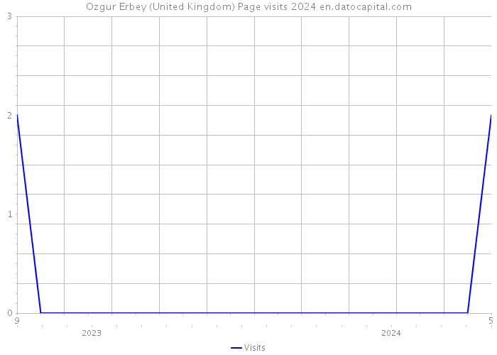 Ozgur Erbey (United Kingdom) Page visits 2024 