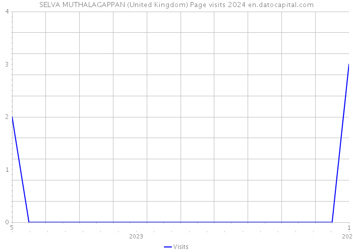 SELVA MUTHALAGAPPAN (United Kingdom) Page visits 2024 