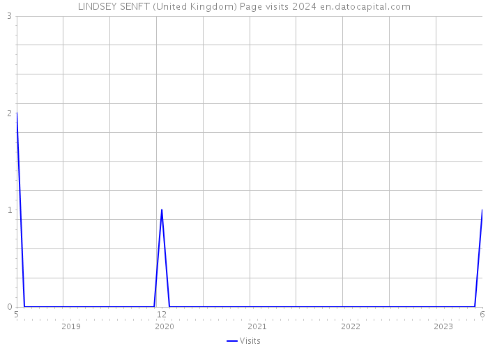 LINDSEY SENFT (United Kingdom) Page visits 2024 