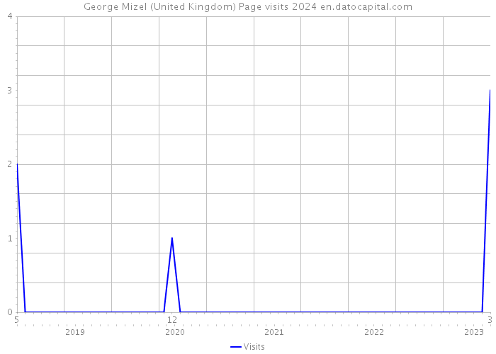 George Mizel (United Kingdom) Page visits 2024 