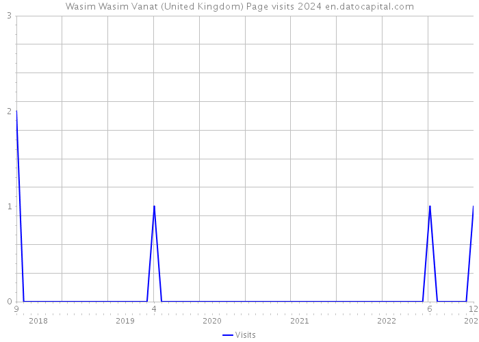 Wasim Wasim Vanat (United Kingdom) Page visits 2024 