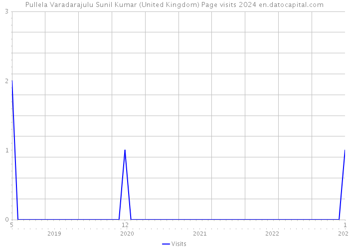 Pullela Varadarajulu Sunil Kumar (United Kingdom) Page visits 2024 