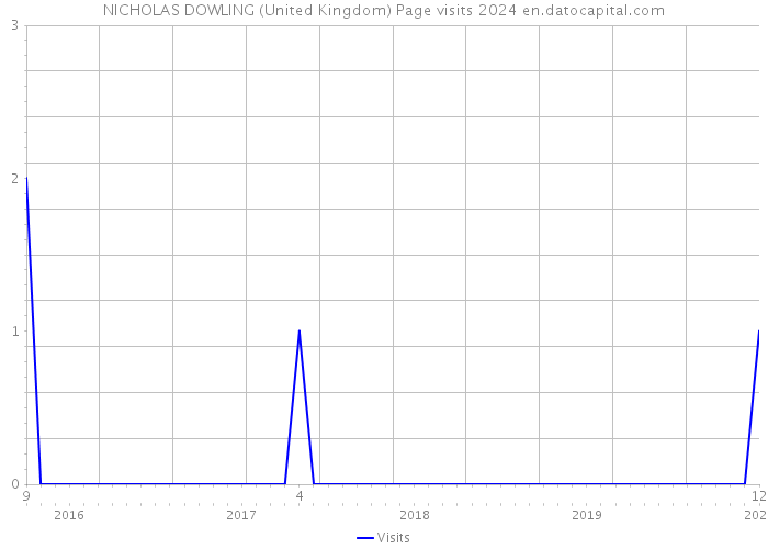NICHOLAS DOWLING (United Kingdom) Page visits 2024 