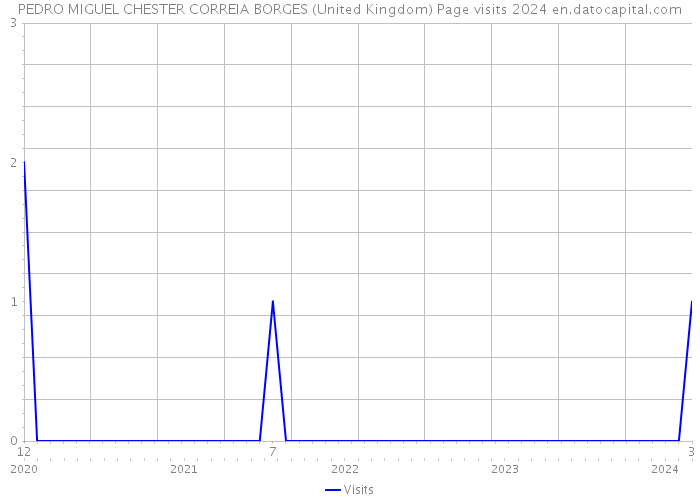 PEDRO MIGUEL CHESTER CORREIA BORGES (United Kingdom) Page visits 2024 