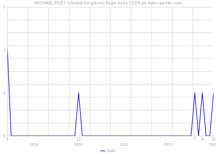MICHAEL RILEY (United Kingdom) Page visits 2024 