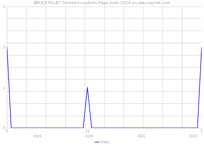 BRUCE PILLEY (United Kingdom) Page visits 2024 