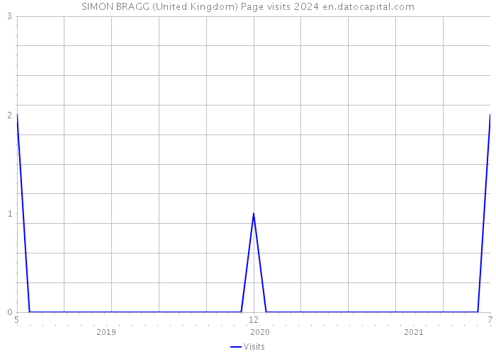 SIMON BRAGG (United Kingdom) Page visits 2024 