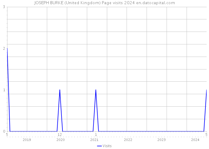 JOSEPH BURKE (United Kingdom) Page visits 2024 