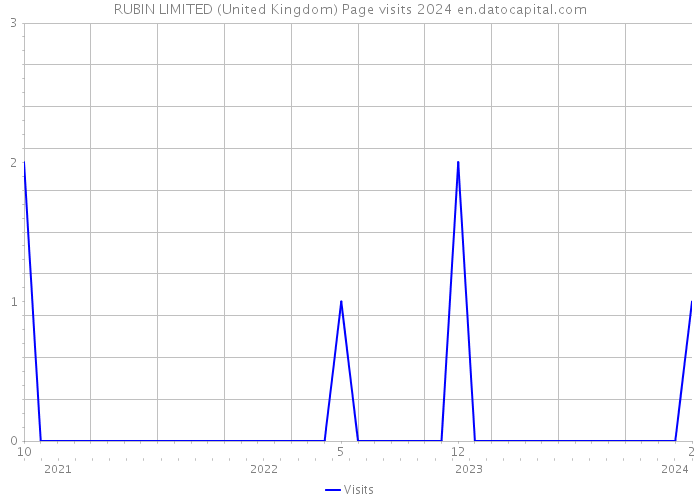 RUBIN LIMITED (United Kingdom) Page visits 2024 