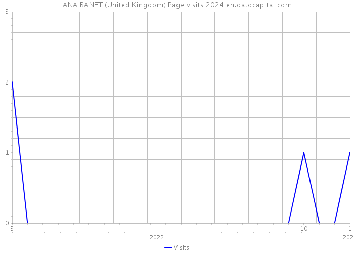 ANA BANET (United Kingdom) Page visits 2024 