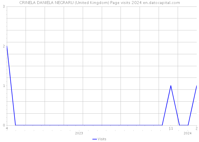 CRINELA DANIELA NEGRARU (United Kingdom) Page visits 2024 