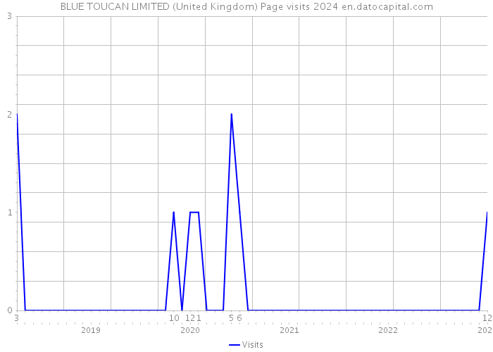 BLUE TOUCAN LIMITED (United Kingdom) Page visits 2024 