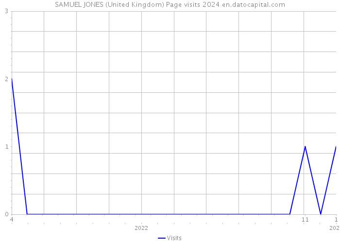 SAMUEL JONES (United Kingdom) Page visits 2024 