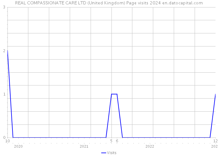 REAL COMPASSIONATE CARE LTD (United Kingdom) Page visits 2024 