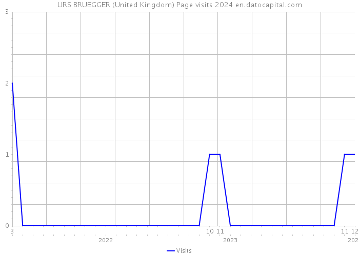 URS BRUEGGER (United Kingdom) Page visits 2024 