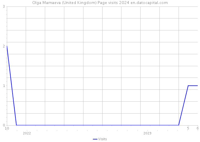 Olga Mamaeva (United Kingdom) Page visits 2024 