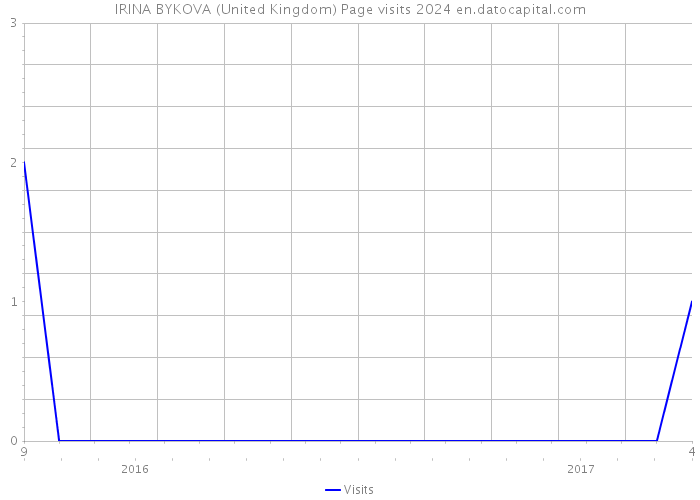 IRINA BYKOVA (United Kingdom) Page visits 2024 