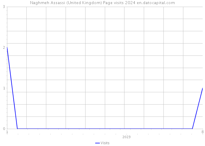 Naghmeh Assassi (United Kingdom) Page visits 2024 