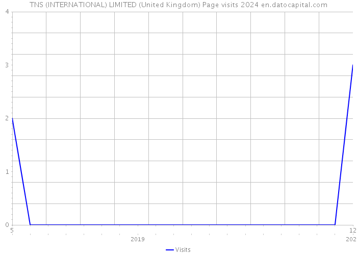 TNS (INTERNATIONAL) LIMITED (United Kingdom) Page visits 2024 
