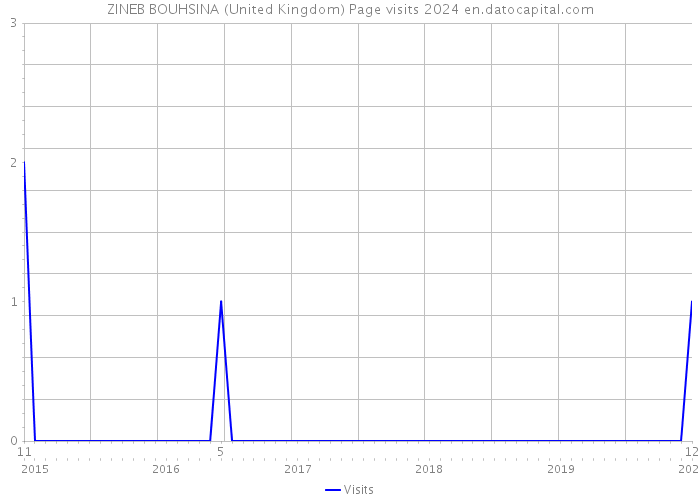 ZINEB BOUHSINA (United Kingdom) Page visits 2024 