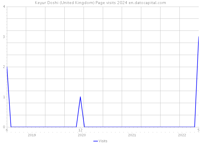 Keyur Doshi (United Kingdom) Page visits 2024 