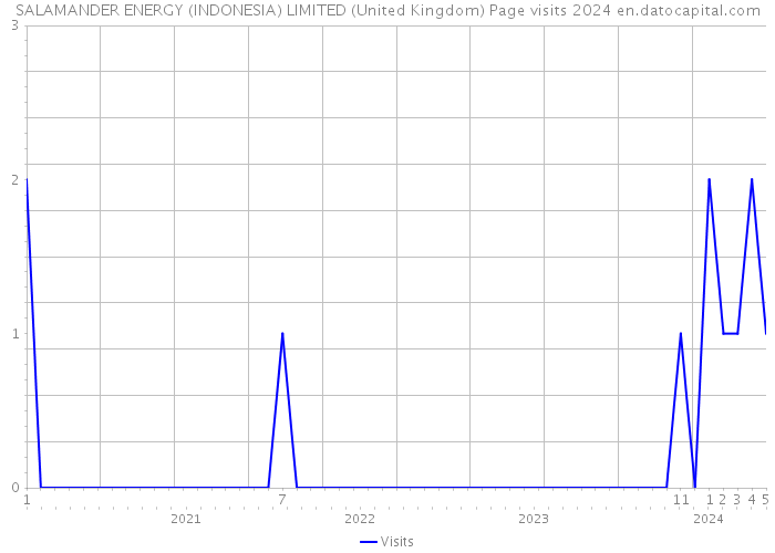 SALAMANDER ENERGY (INDONESIA) LIMITED (United Kingdom) Page visits 2024 