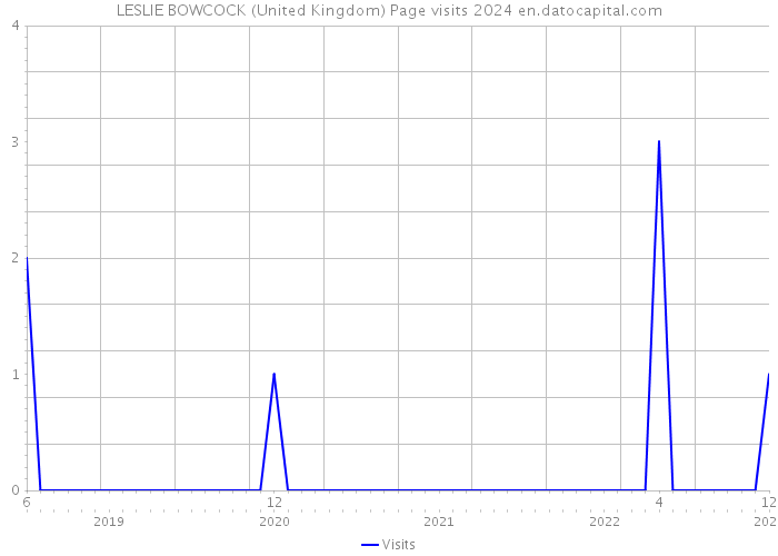 LESLIE BOWCOCK (United Kingdom) Page visits 2024 