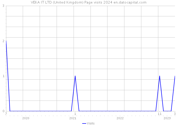 VEKA IT LTD (United Kingdom) Page visits 2024 