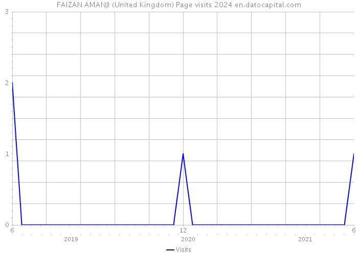 FAIZAN AMANJI (United Kingdom) Page visits 2024 