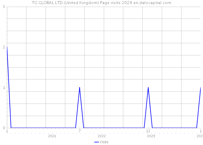 TG GLOBAL LTD (United Kingdom) Page visits 2024 