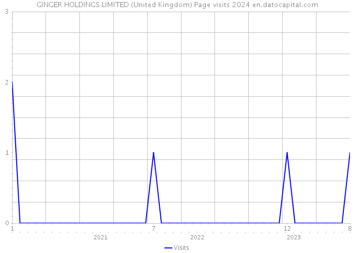 GINGER HOLDINGS LIMITED (United Kingdom) Page visits 2024 