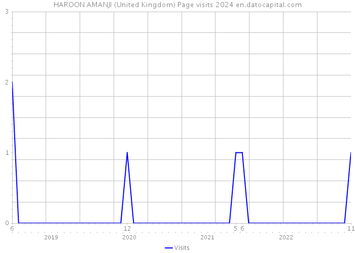 HAROON AMANJI (United Kingdom) Page visits 2024 