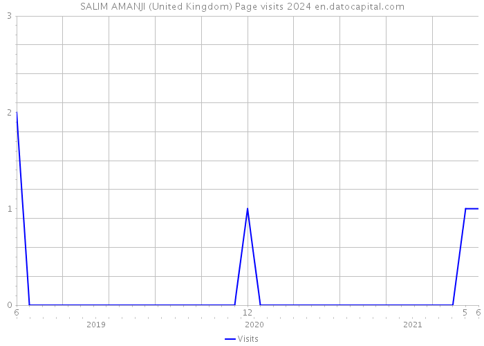 SALIM AMANJI (United Kingdom) Page visits 2024 