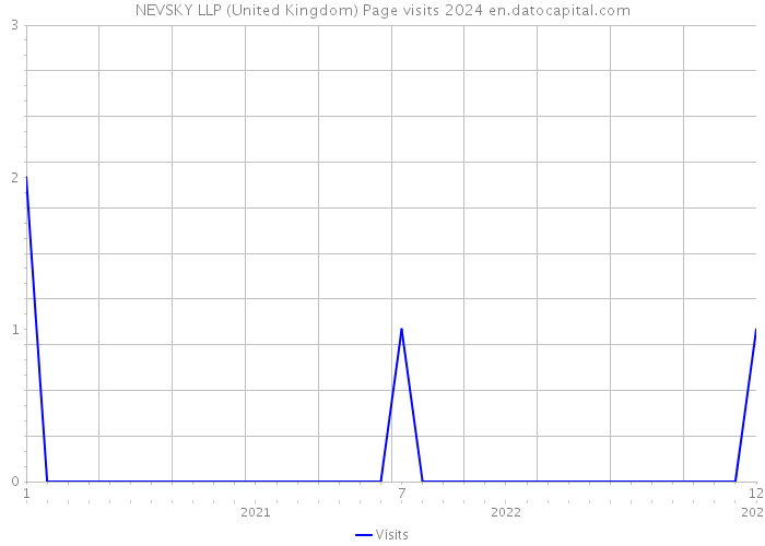 NEVSKY LLP (United Kingdom) Page visits 2024 