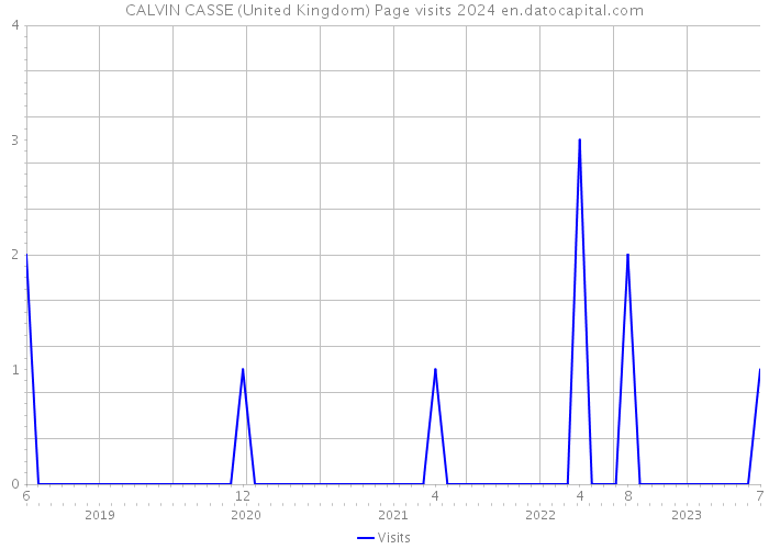CALVIN CASSE (United Kingdom) Page visits 2024 