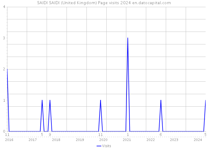 SAIDI SAIDI (United Kingdom) Page visits 2024 