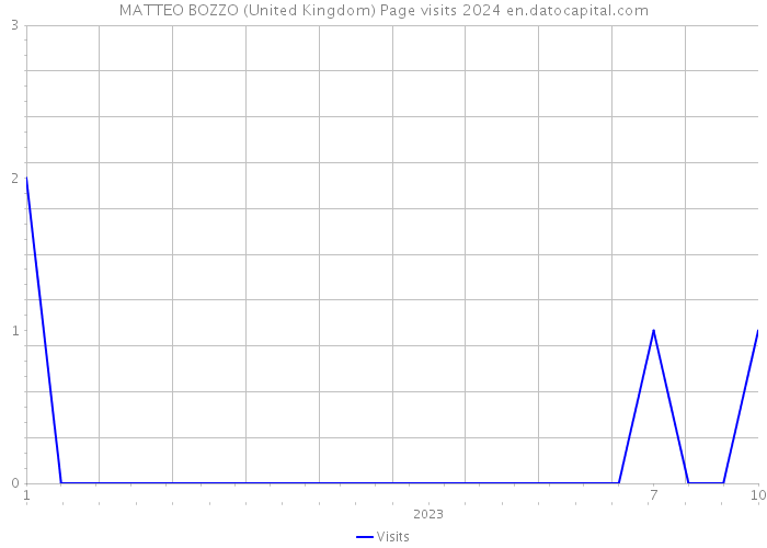 MATTEO BOZZO (United Kingdom) Page visits 2024 