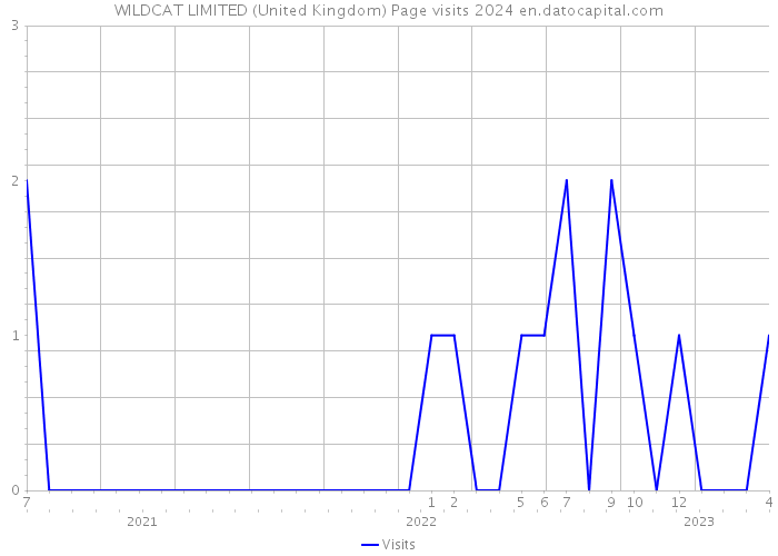 WILDCAT LIMITED (United Kingdom) Page visits 2024 