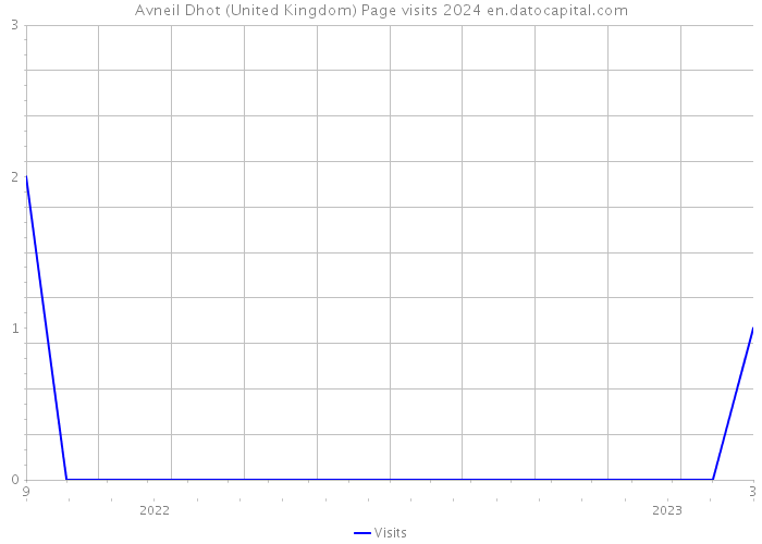 Avneil Dhot (United Kingdom) Page visits 2024 